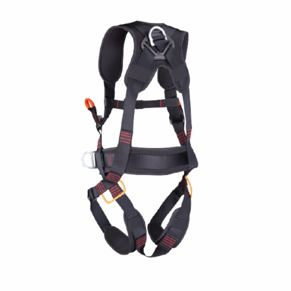 Arnes veleta plus climax